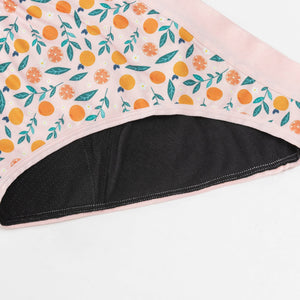 Period Underwear